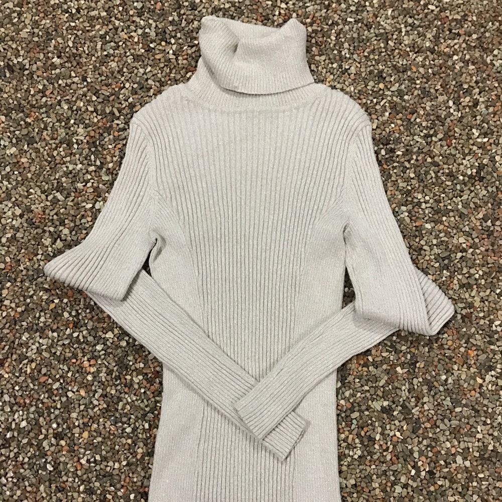 Express turtleneck sweater